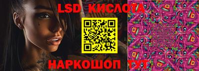 амф Новодвинск