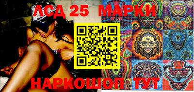 амф Новодвинск