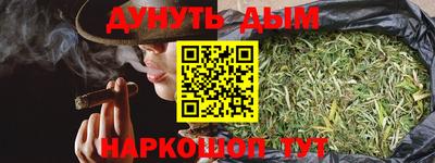 амф Новодвинск