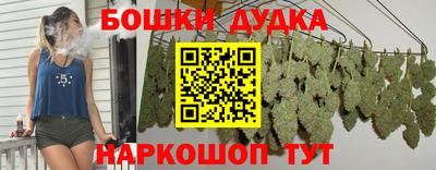 амф Новодвинск