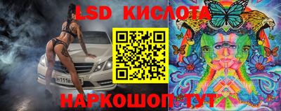 амф Новодвинск