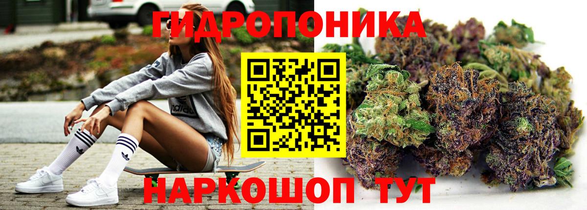 Бошки Шишки конопля Топки